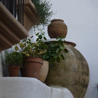 Photo de Espagne - Benahavis, un village blanc andalous